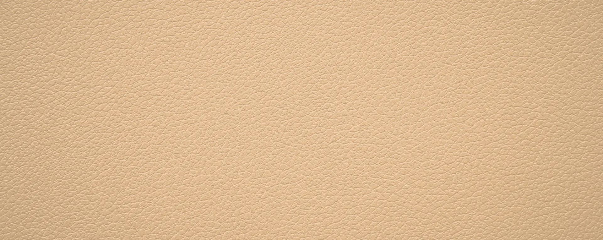 Leather Texture Background